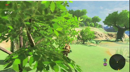 Zelda BOTW vs STONE TALUS