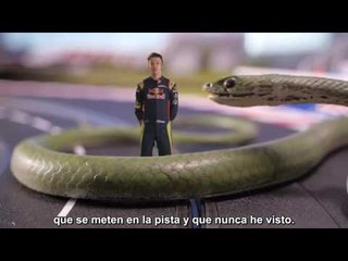 Una vuelta a Interlagos con Carlos Sainz en un coche de slot