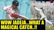 India vs Australia: Ravindra Jadeja takes magical catch to send Warner back | Oneindia News