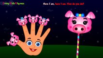 The Finger Family Pig Lollipop Family Nursery Rhymes | Lollipop Finger Family Song | Kids Songs