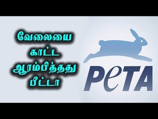 ஜல்லிக்கட்டுக்கு எதிராக பீட்டா வழக்கு பதிவு |Jallikattu, PETA filed case in SC- Oneindia Tamil