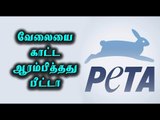 ஜல்லிக்கட்டுக்கு எதிராக பீட்டா வழக்கு பதிவு |Jallikattu, PETA filed case in SC- Oneindia Tamil