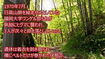 【閲覧注意】熊に襲われた事件が悲惨すぎる・・・怖いクマ事件のまとめ【恐怖】