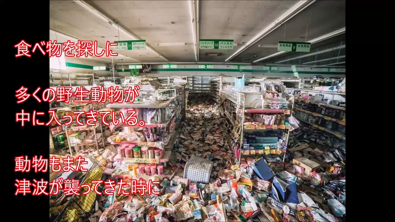 【閲覧注意】一般人が絶対入れない立ち入り禁止区域がヤバすぎる【警戒度SSランク】いまだに解明されていない