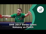 DHS 2017 Swiss Open: Kaluzny vs Posch