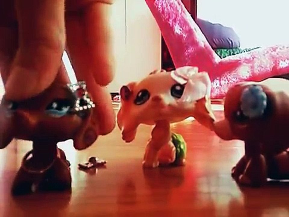 Направление жизнь мой Мы из один история