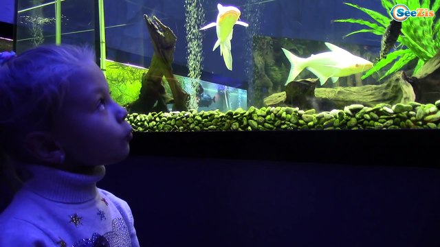 Подарок от Деда Мороза для Ярославы Что в коробке? С Новым Годом! Видео для детей Tiki Taki