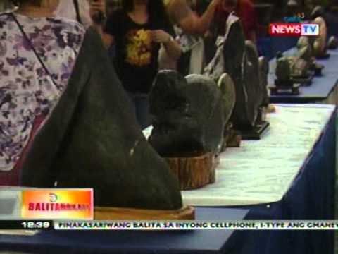 BT: Bonsai & Suiseki show and competition, idinaraos sa Quezon Memorial Circle