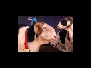 GUETT GUI  du DIManche 26 JUIN 2016