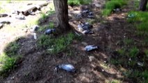 Şanlıurfa'da Yaşanan Kuş Ölümleri Halkı Tedirgin Ediyor