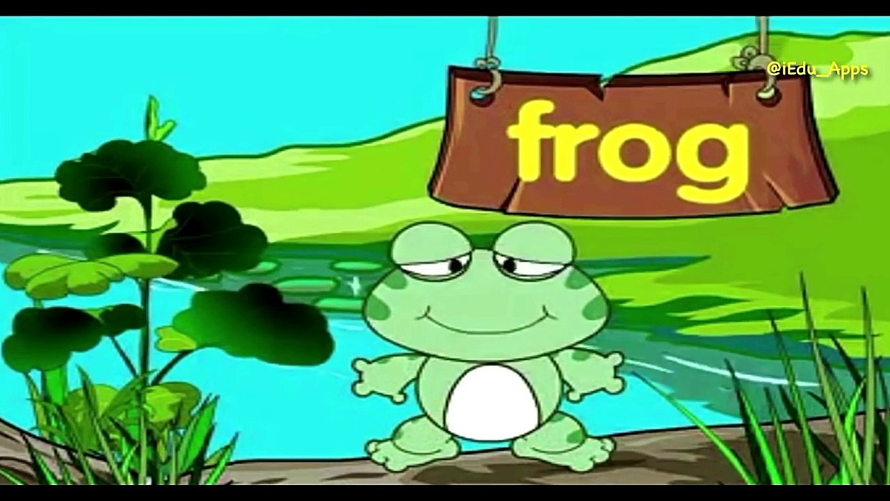 ABC SONG | ABC Songs for Children - 13 Alphabet Songs & 26 Videos