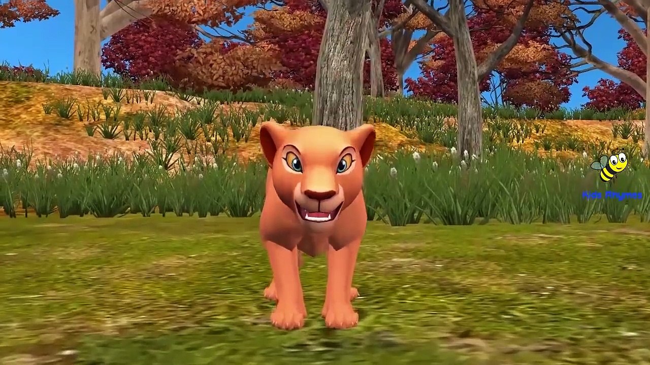 Медведь с с с с с с мультфильмы Семья палец для лев мало питомник рифмы звезда звезда мерцать |