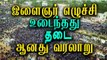 வென்றது போராட்டம் | Tamil people won in Jallikattu issue- Oneindia Tamil
