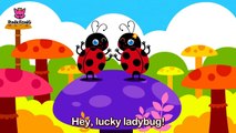 Flitter-Flutter Butterflies | Bug Songs | Pinkfong Songs for Children