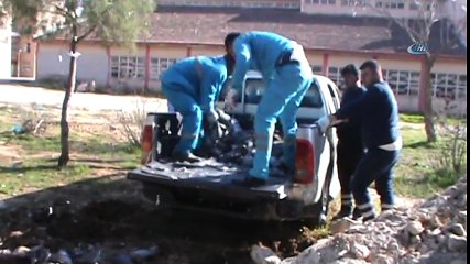 Kuş Ölümleri Halkı Tedirgin Ediyor