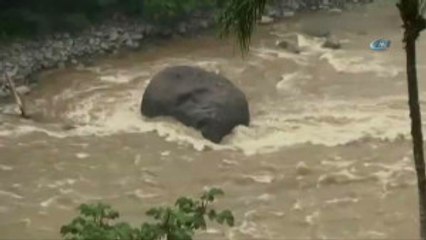 Kolombiya'da, Ölüme Yolculuk