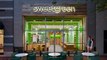 How Sweetgreen Stays Competitive In A Crowded Space Of Dining Options