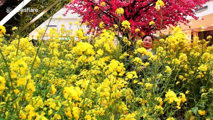 Southern Chinese mall creates impressive floral display