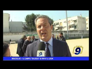 Bisceglie |  Il campo Diliddo si rifà il look
