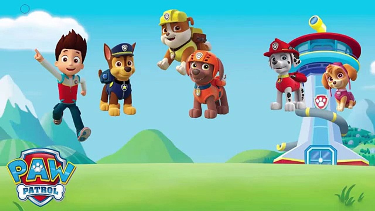 Paw Patrol Ninja Marvel Super heroes captain america Hulk red iron man thor transforming f