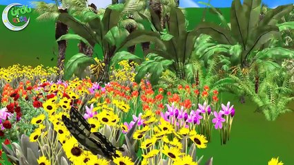 Baby Song 3D Urdu | Ammi Jaan | امی جان | Urdu Nursery Rhyme Collection for Babies