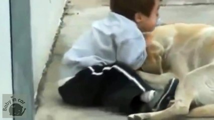BABY IN CAR - Baby's lovely and funny moment with -You're- and -You're- Baby and Animals