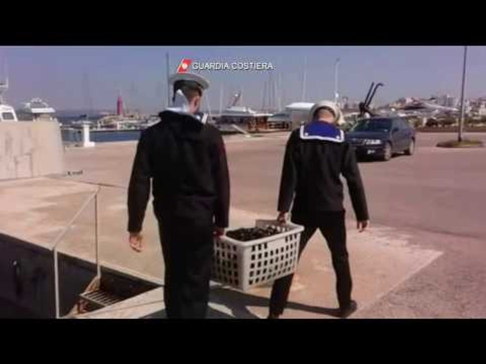 Torre Lapillo (Porto Cesareo), pescatore pizzicato con 500 ricci. Il video Leccenews24