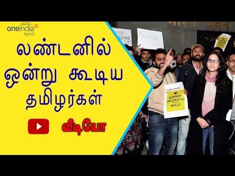 லண்டனில் ஜல்லிக்கட்டு போராட்டம் | Jallikattu protest in London- Oneindia Tamil