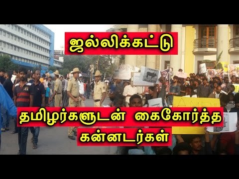 பெங்களூரில் ஜல்லிக்கட்டு போராட்டம் | People protest in Bengaluru for Jallikattu- Oneindia Tamil