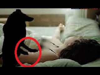Thế giới tâm linh - Chó thành tinh thích mây mưa với gái "Còn Trinh" mỗi đêm
