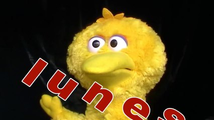 Los dias de la semana canción para niños