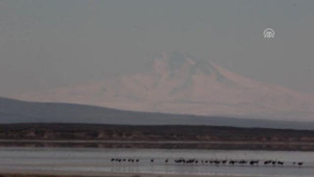 Seyfe Gölü Turnalarla Doldu