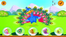 Learn Animal Traits and Behaviors with Friends of the Forest by BabyBus Kids Games