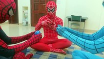 Spiderman Real Life w/ Hulk Red Spiderman find & unboxing Pokemon GO in Real Life Superher
