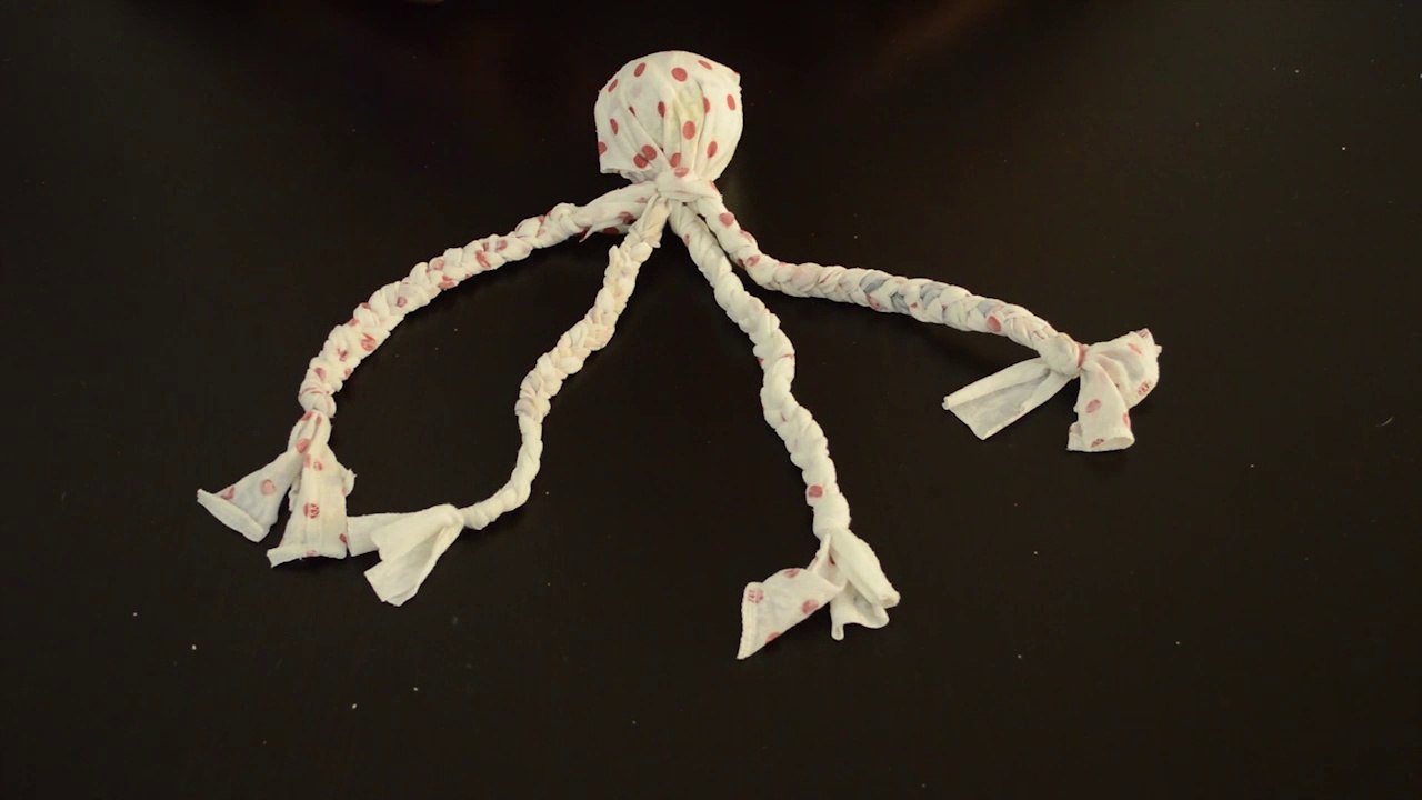 DIY : Fabriquez un jouet pour votre chien