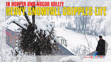 Nagar And Hopper Snowfall