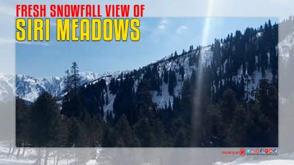 Shogran Siri Meadows Fresh Snowfall