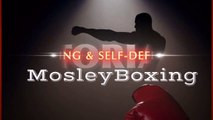 INTRO MosleyBoxing - Boxing & Self Defense TUTORIALS - Fighting Highlights & Demonstrations