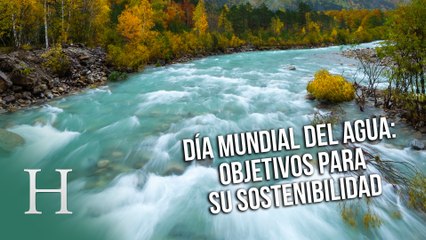 Dia mundial del agua