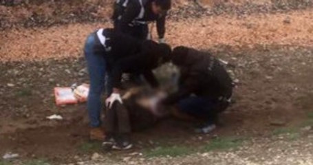 Diyarbakır'da Nevruz Alanına Bıçakla Girmek İsteyen Kişi Vurularak Öldürüldü