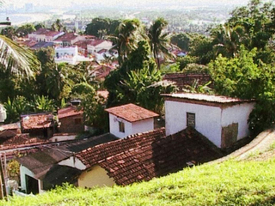 DOCU : Pernalonga - 2ème partie