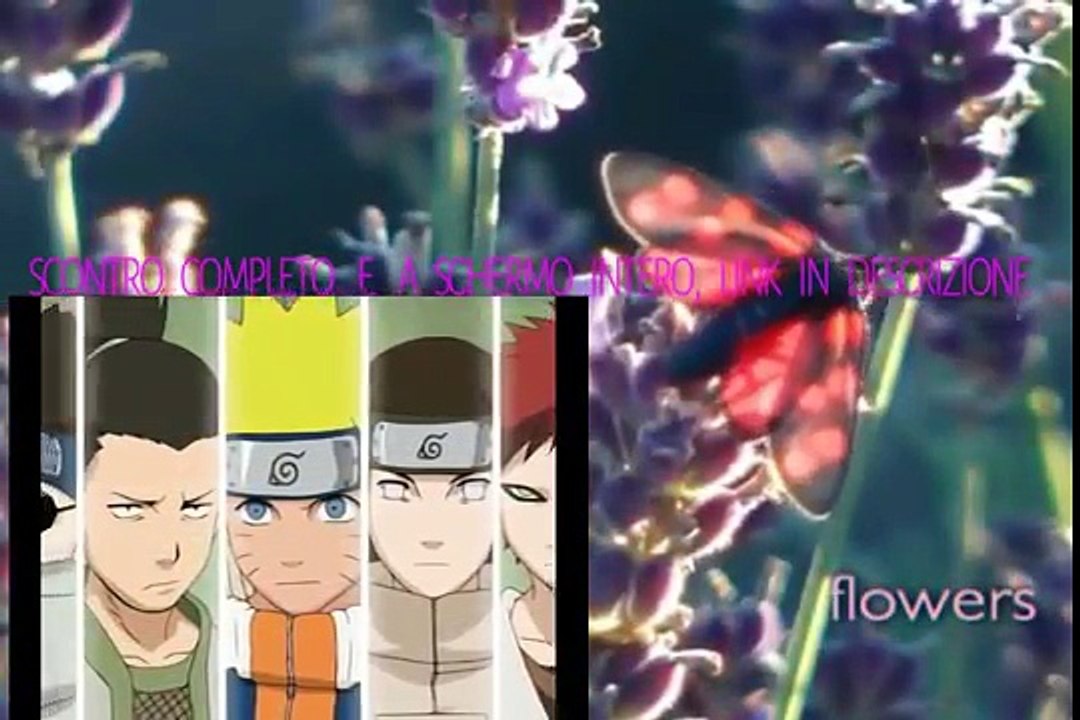 Naruto VS Neji ita (parte 7)