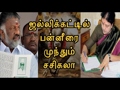 ஜல்லிக்கட்டு வேண்டி சசிகலா மோடிக்கு கடிதம் | Sasikala wries a letter to Modi- Oneindia Tamil