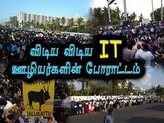 ஜல்லிக்கட்டுக்கு ஆதரவாக ஐடி நிறுவன ஊழியர்கள் | IT Employees support jallikattu - Oneindia Tamil