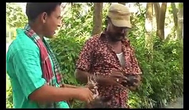 রাইত পোয়াইলে ডাবোল কিস্তি l rangpur bhawaiya songs l Bangladeshi Folk Songs 2017 l Bahe Tv
