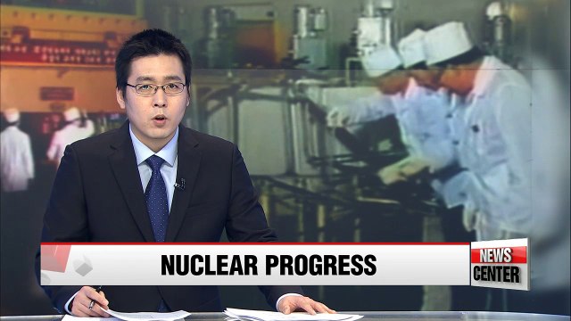 N. Korea has doubled uranium-enrichment facility: IAEA chief