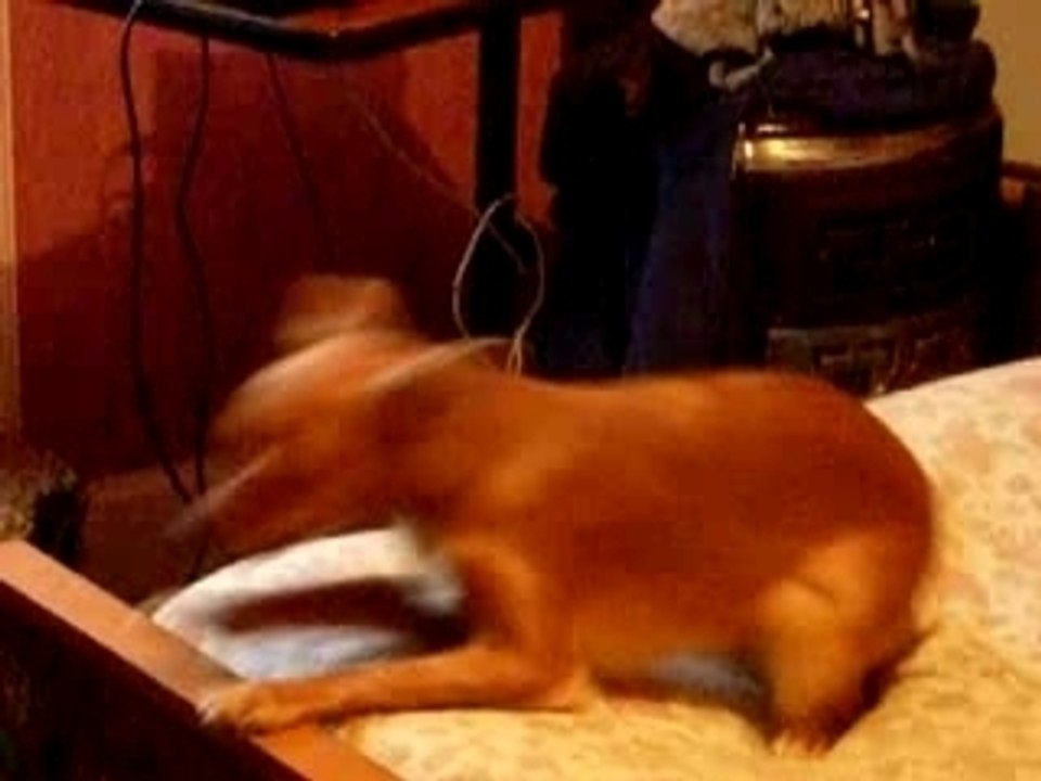 Balou boum