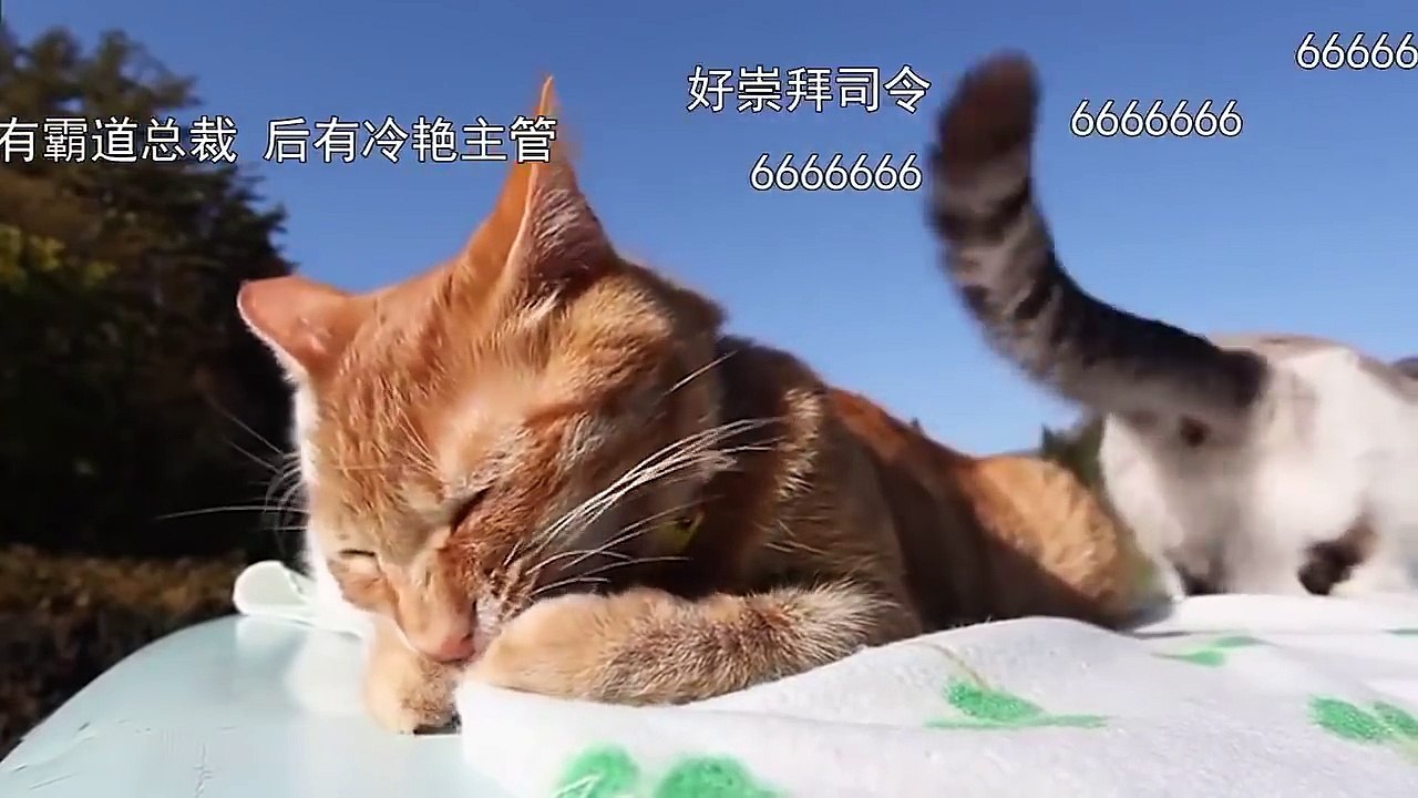《北上广不相信眼泪》吐槽篇花絮 | 马伊琍朱亚文现反差萌