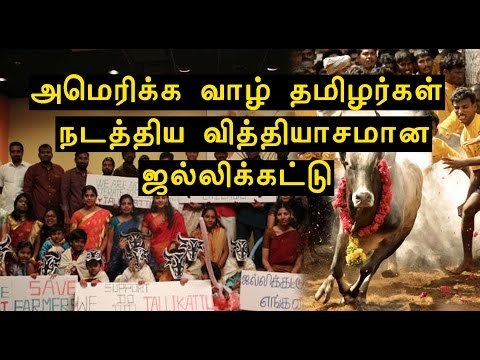 அமெரிக்க வாழ் தமிழர்கள் போராட்டம் | Jallikattu was held in Chicago by Tamils- Oneindia Tamil