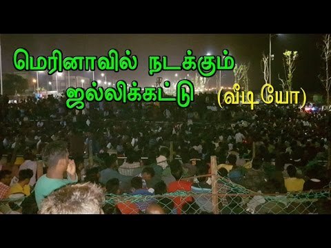 மெரீனாவில் இளைஞர்கள் போராட்டம் | People gathered for Jallikattu- Oneindia Tamil